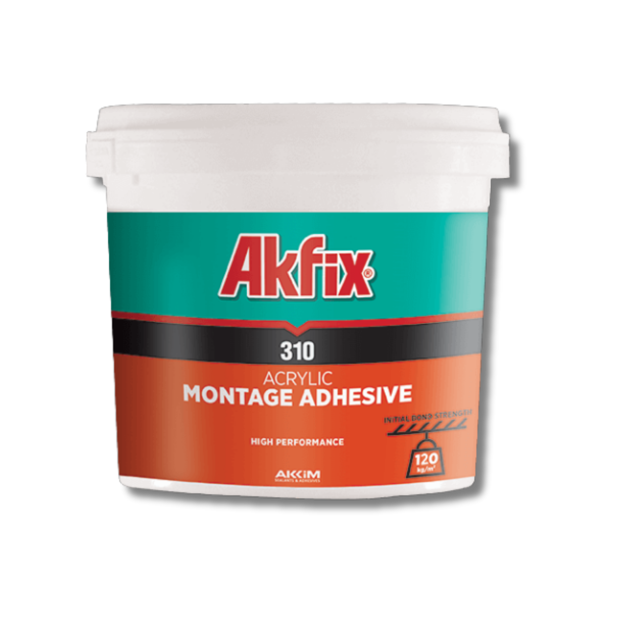 Adhesivo de montaje 310 (formato obra) Akfix